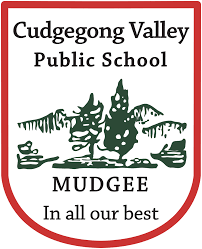 Cudgegong Valley Public School Portal and Dads Group