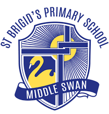 St Brigid’s Primary School Portal