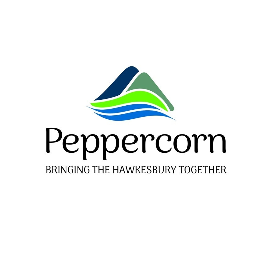 Peppercorn Children and Families Portal and Dads Group